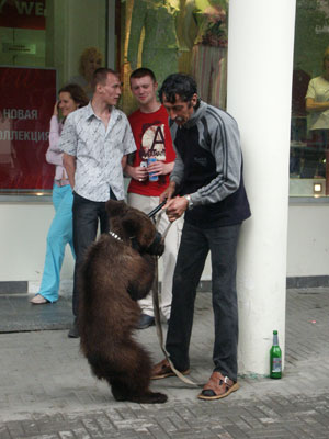 Медведь хулиганил на Кировке